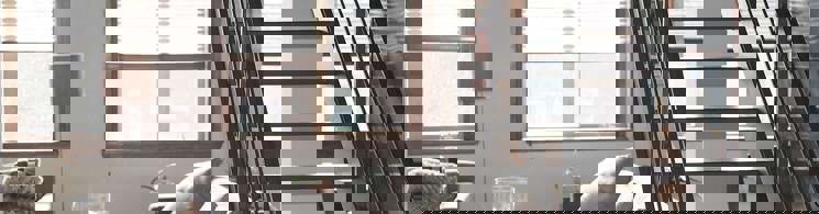 Geluidwering