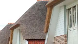 Nieuwbouw Rieten Dak Nb