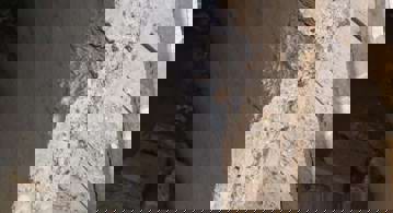 Betonrand (1)