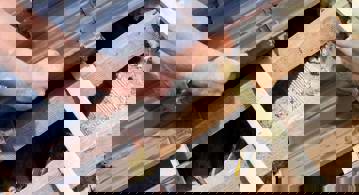 Dakbedekking