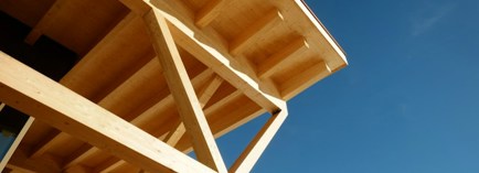 Header afbeelding Bernhard 3T8Watpske4 Unsplash (1)