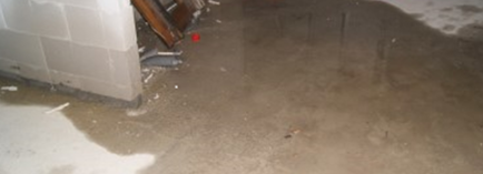 Header afbeelding Vochtproblemen Woningborg Website (1)